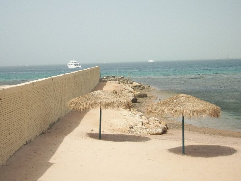 spa50339 spa50339
