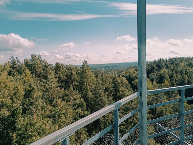 biciuliu apzvalgos bokstas nuotrauka biciuliu apzvalgos bokstas nuotrauka