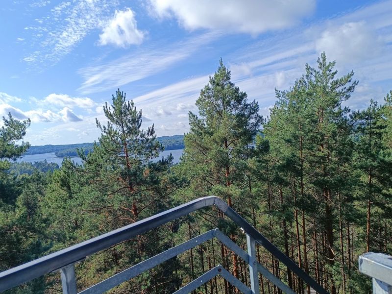 biciuliu apzvalgos bokstas nuotrauka biciuliu apzvalgos bokstas nuotrauka