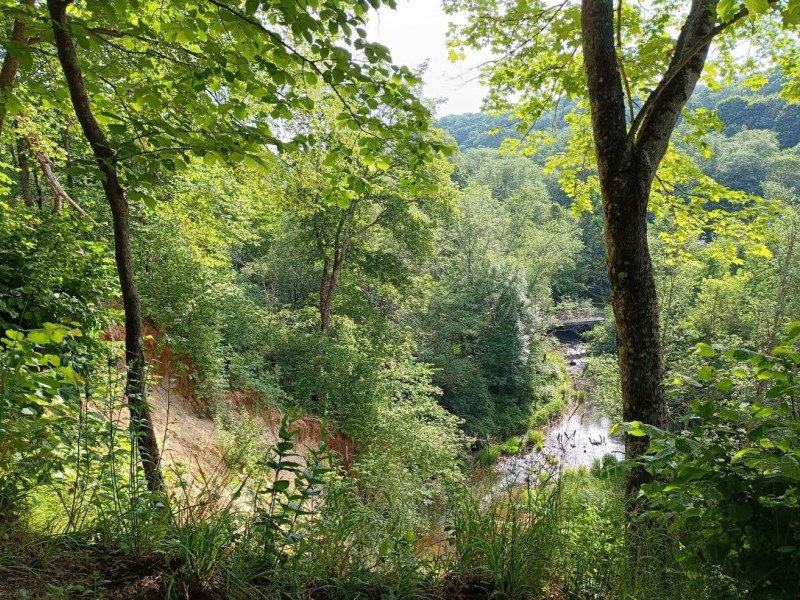 img 20230624 img 20230624