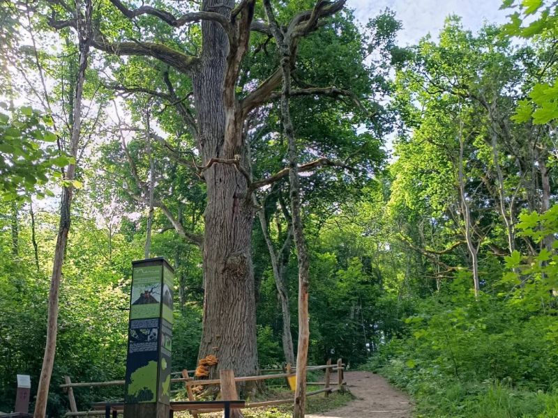 img 20230624 img 20230624