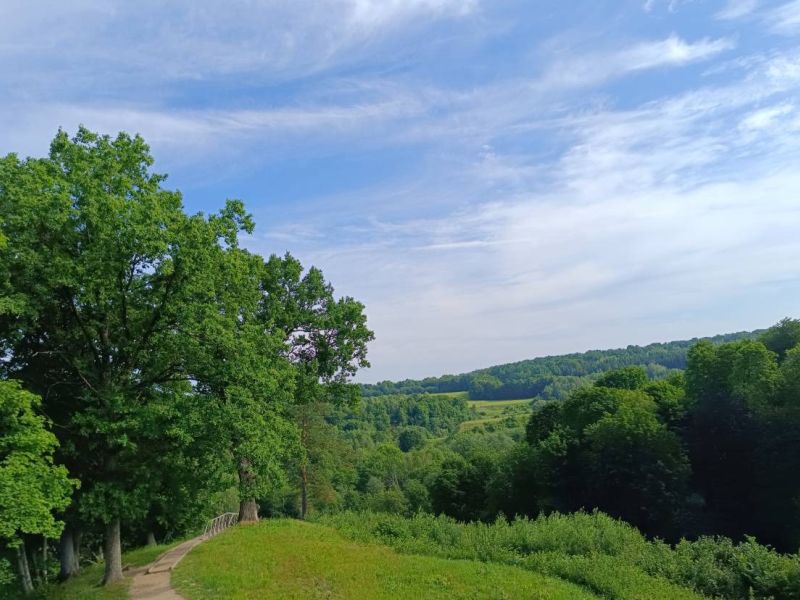 img 20230624 img 20230624