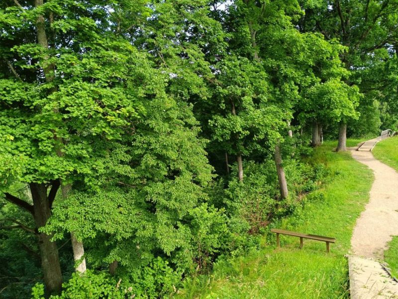 img 20230624 img 20230624