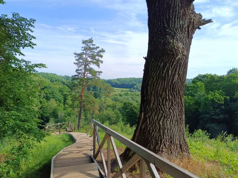 img 20230624 img 20230624