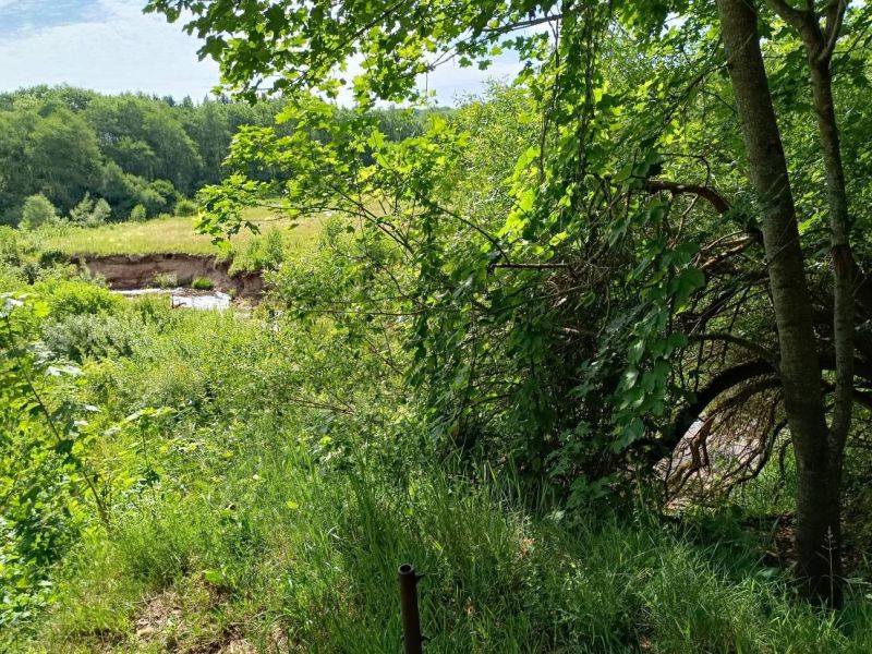 img 20230624 img 20230624