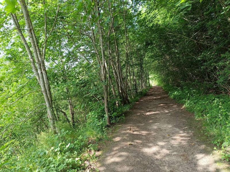 img 20230624 img 20230624