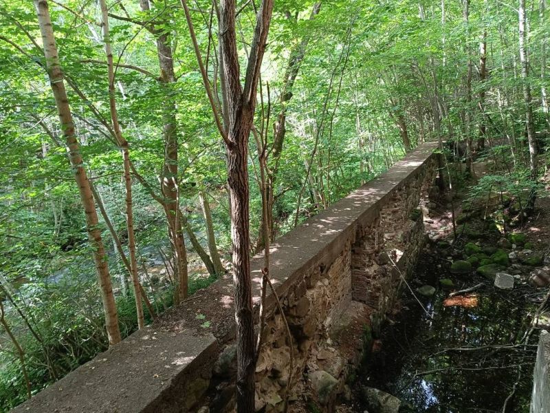 img 20230624 img 20230624