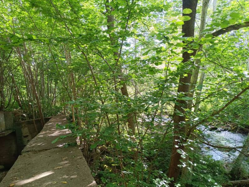 img 20230624 img 20230624