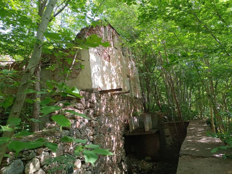 img 20230624 img 20230624