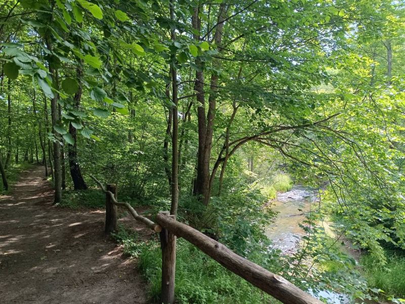 img 20230624 img 20230624