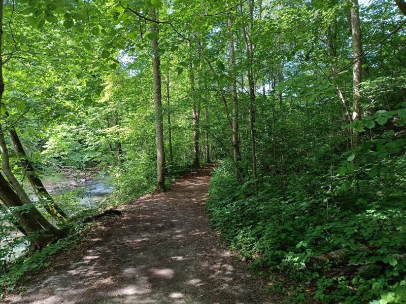 img 20230624 img 20230624