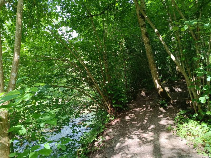 img 20230624 img 20230624