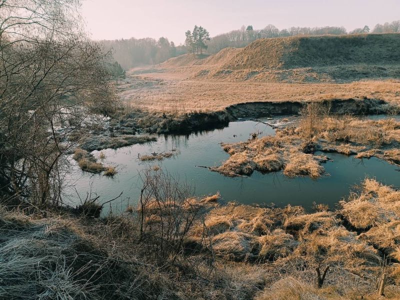 img 20250309 img 20250309