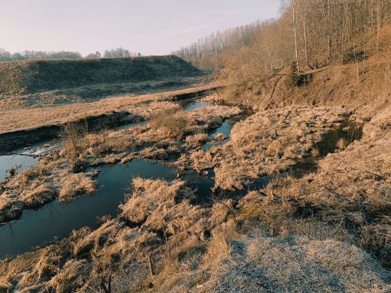 img 20250309 img 20250309