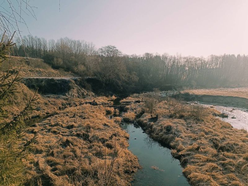 img 20250309 img 20250309