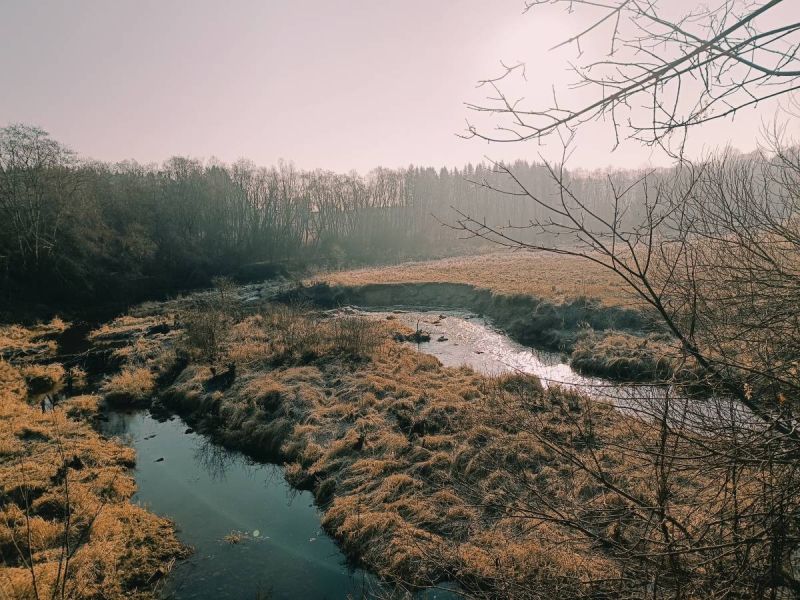 img 20250309 img 20250309