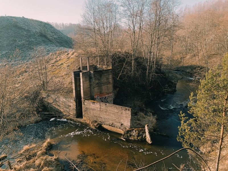 img 20250309 img 20250309