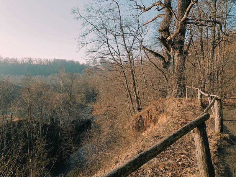 img 20250309 img 20250309