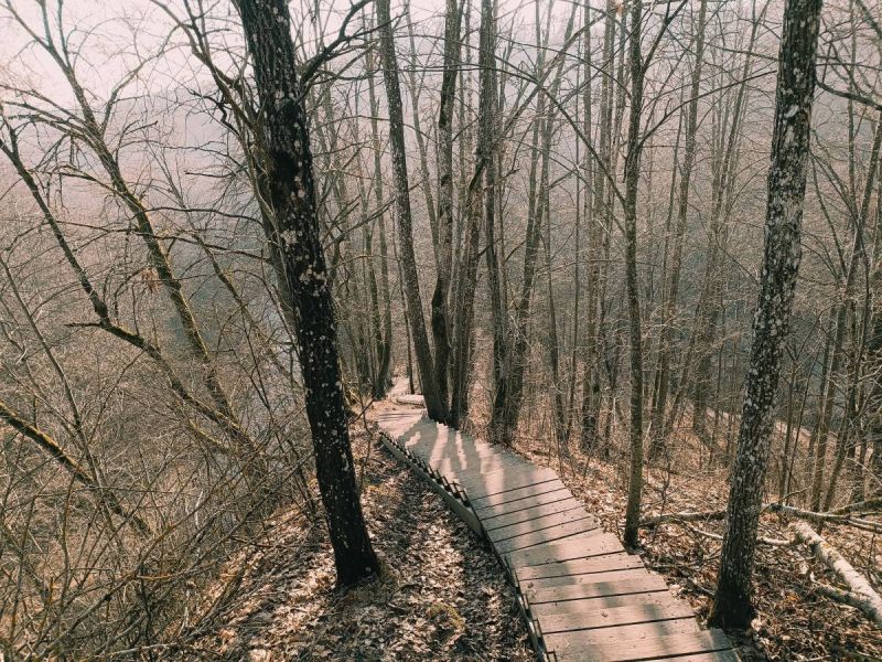 img 20250309 img 20250309