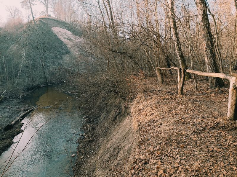 img 20250309 img 20250309