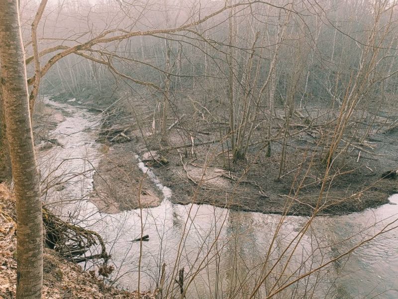 img 20250309 img 20250309