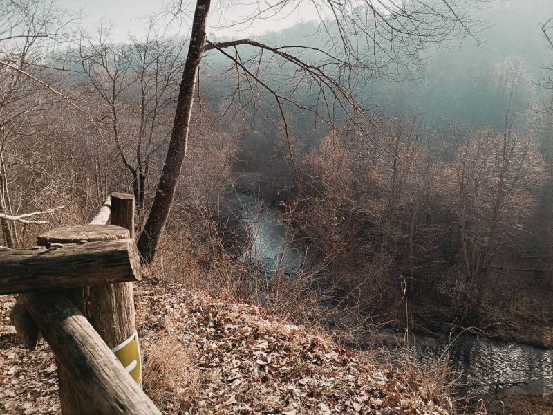 img 20250309 img 20250309