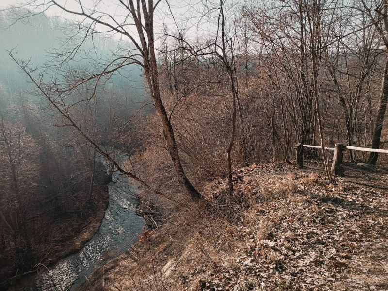 img 20250309 img 20250309