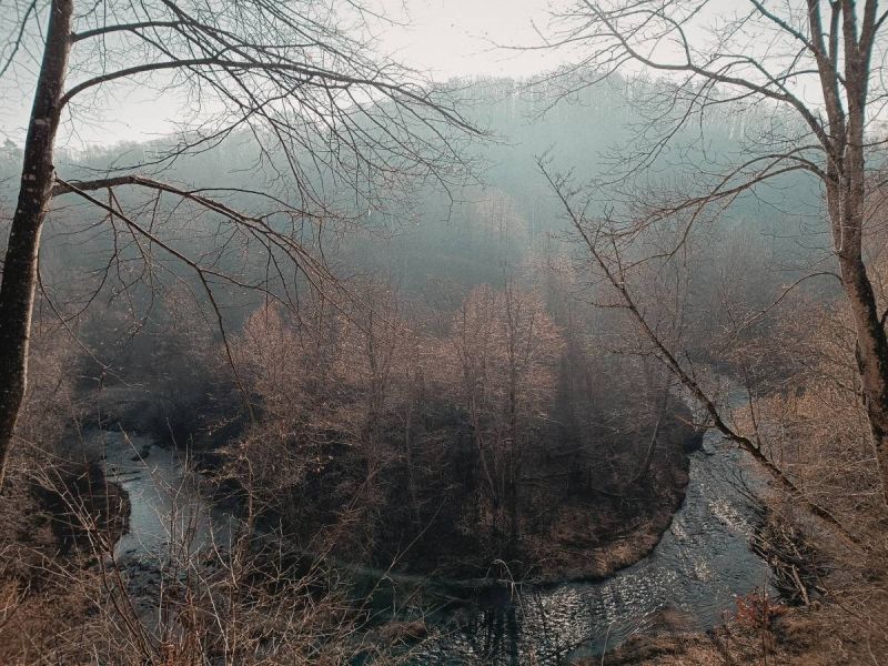 img 20250309 img 20250309