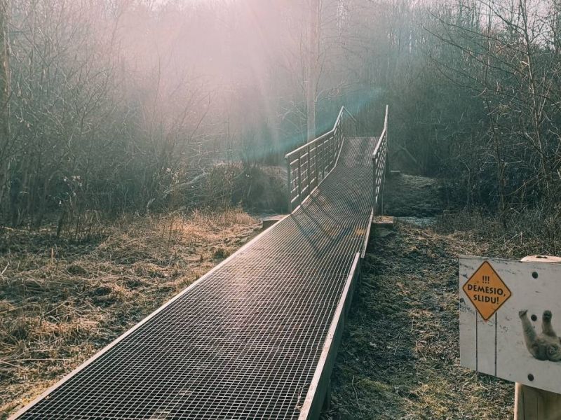 img 20250309 img 20250309