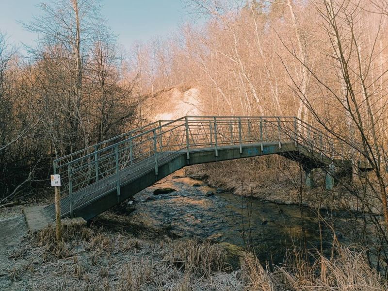 img 20250309 img 20250309