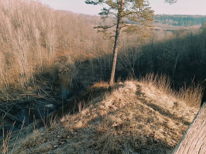 img 20250309 img 20250309