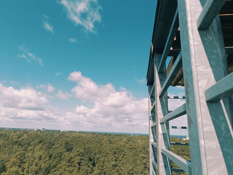 img 20250629 img 20250629