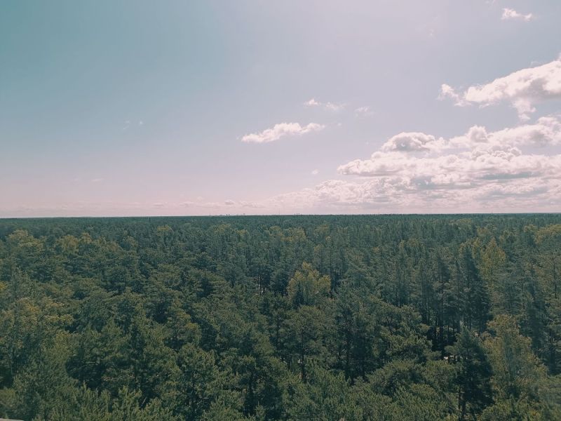 img 20250629 img 20250629