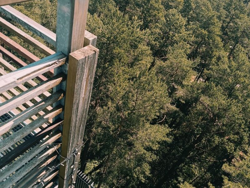 img 20250629 img 20250629