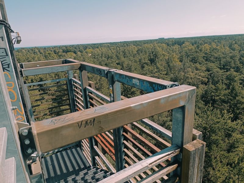 img 20250629 img 20250629