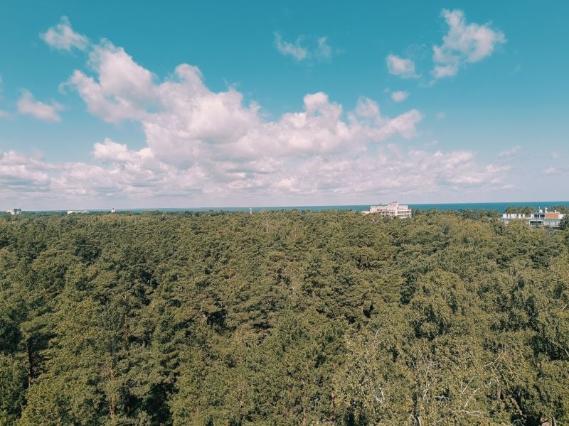 img 20250629 img 20250629