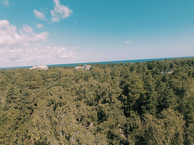 img 20250629 img 20250629