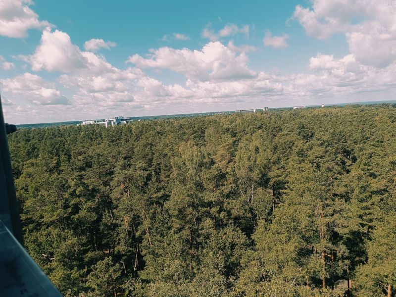 img 20250629 img 20250629