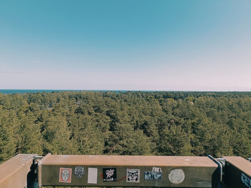 img 20250629 img 20250629