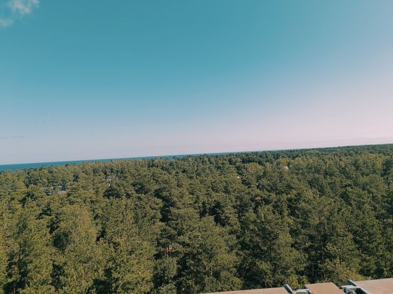 img 20250629 img 20250629