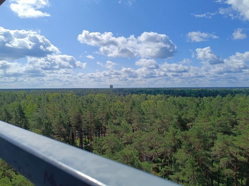 img 20250629 img 20250629