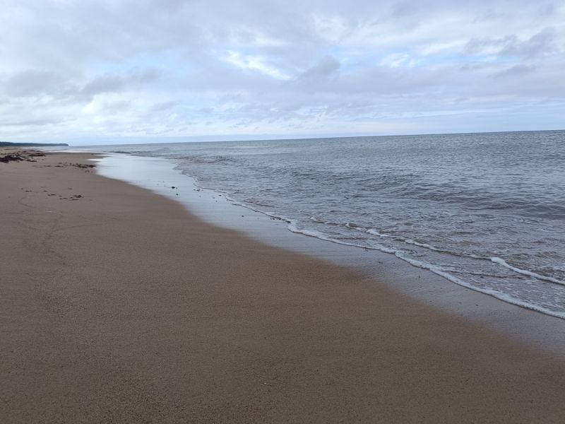 img 20250711 img 20250711