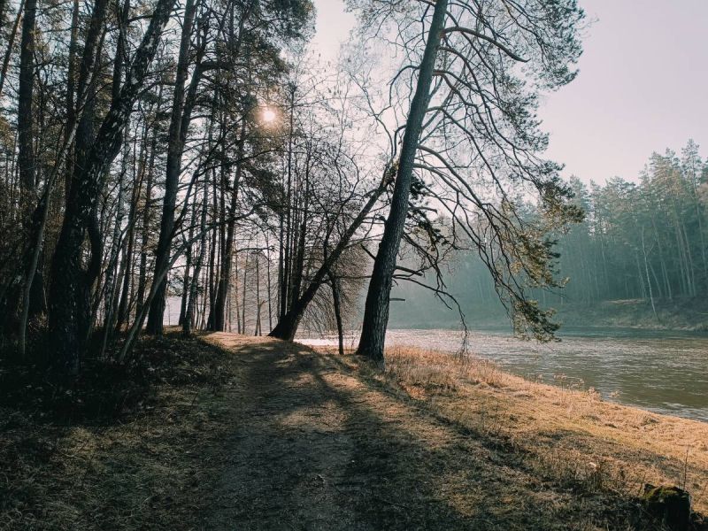 karmazinu pazintinis takas karmazinu pazintinis takas