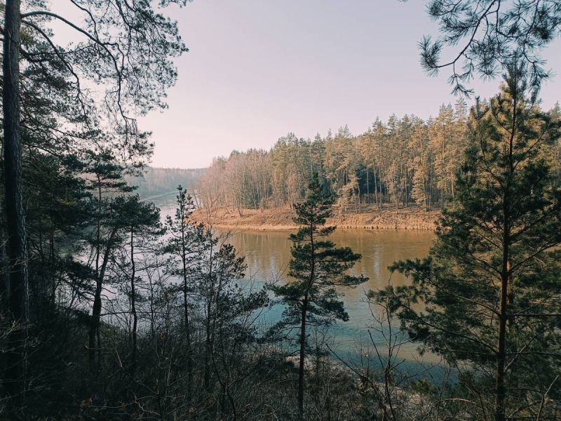 karmazinu pazintinis takas karmazinu pazintinis takas