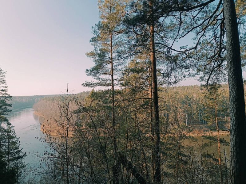karmazinu pazintinis takas karmazinu pazintinis takas