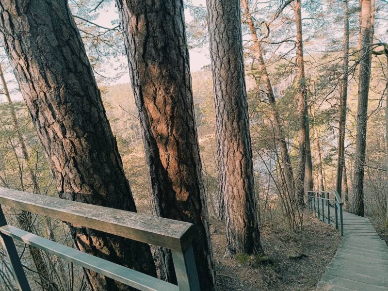 karmazinu pazintinis takas karmazinu pazintinis takas