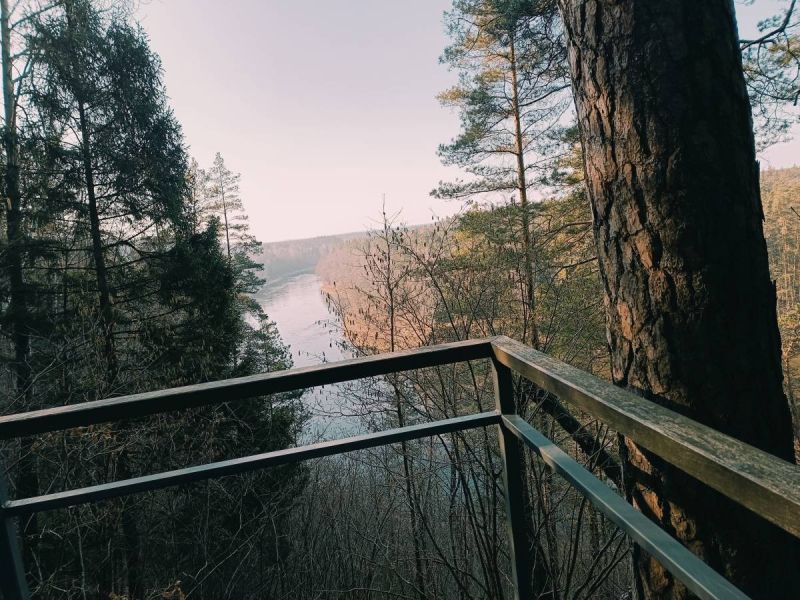 karmazinu pazintinis takas karmazinu pazintinis takas