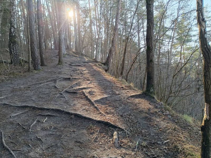 karmazinu pazintinis takas karmazinu pazintinis takas