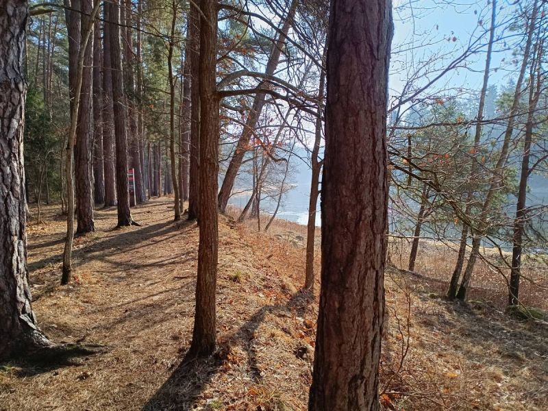 karmazinu pazintinis takas karmazinu pazintinis takas