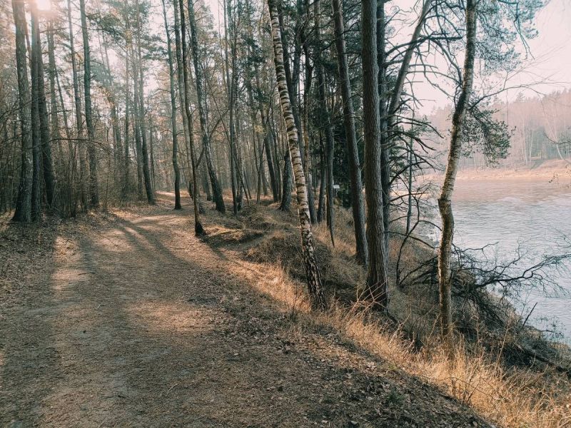 karmazinu pazintinis takas karmazinu pazintinis takas